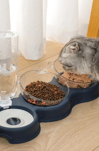 Bowl 3 en 1 - Doble taza + agua